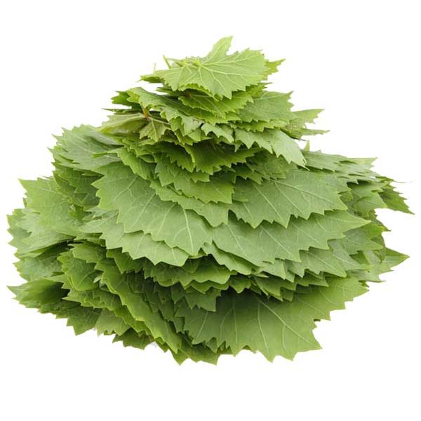 برگ مو ۲۰۰گرمی