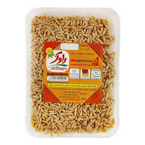 جوانه گندم 200 گرمی راوک - Image 2